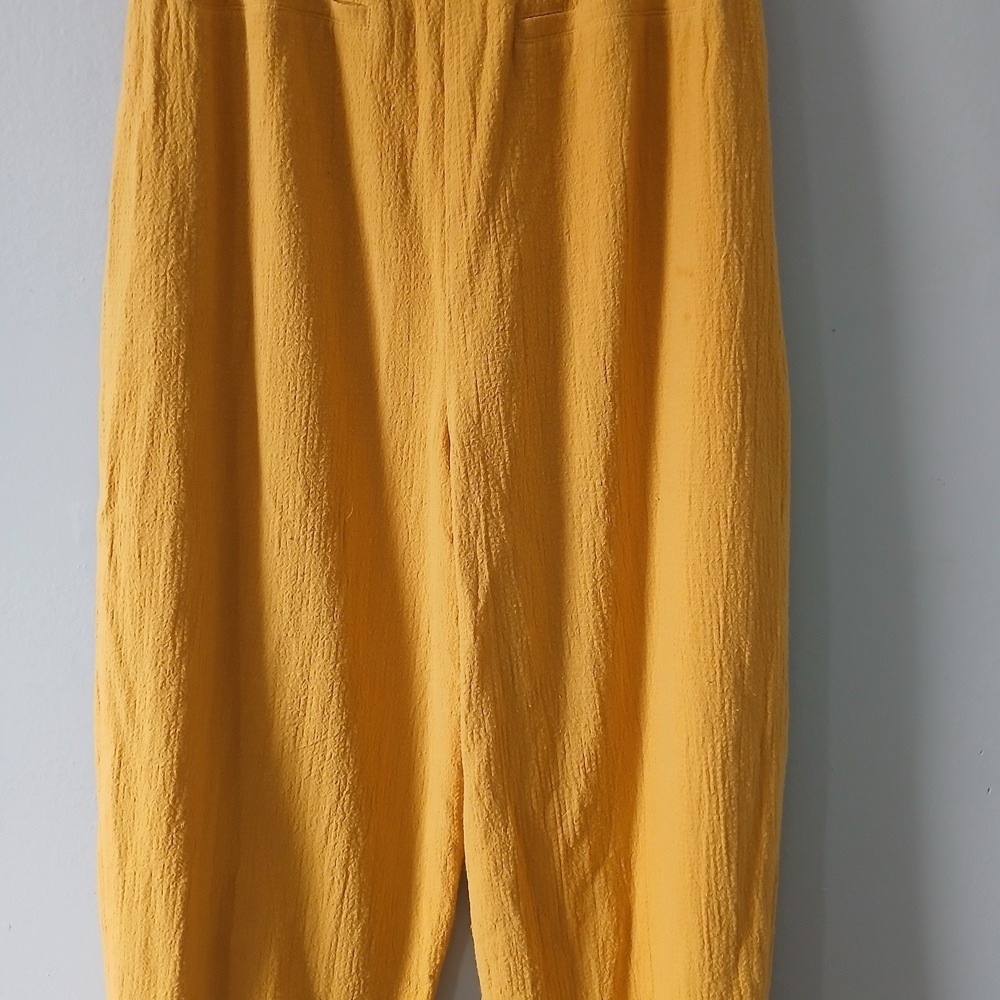 Lost + Wander Anthropologie Women's Size Medium Belted Pants Gold Yellow NWT!!! - Picture 15 of 16